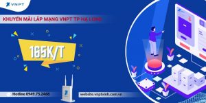 Lắp mạng VNPT TP Hạ Long