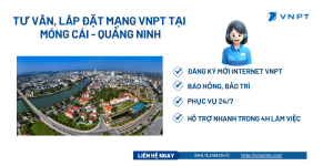 Lắp đặt mạng VNPT Móng Cái