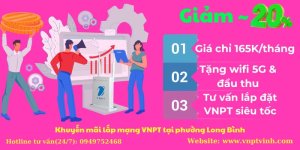 Lắp mạng VNPT phường Long Bình