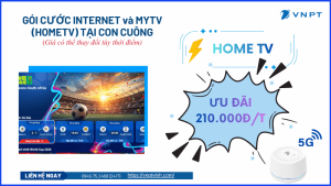 Lắp mạng VNPT tại Con Cuông