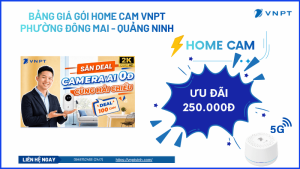 Lắp mạng VNPT tại Đông Mai