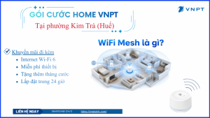 Lắp mạng VNPT phường Kim Trà